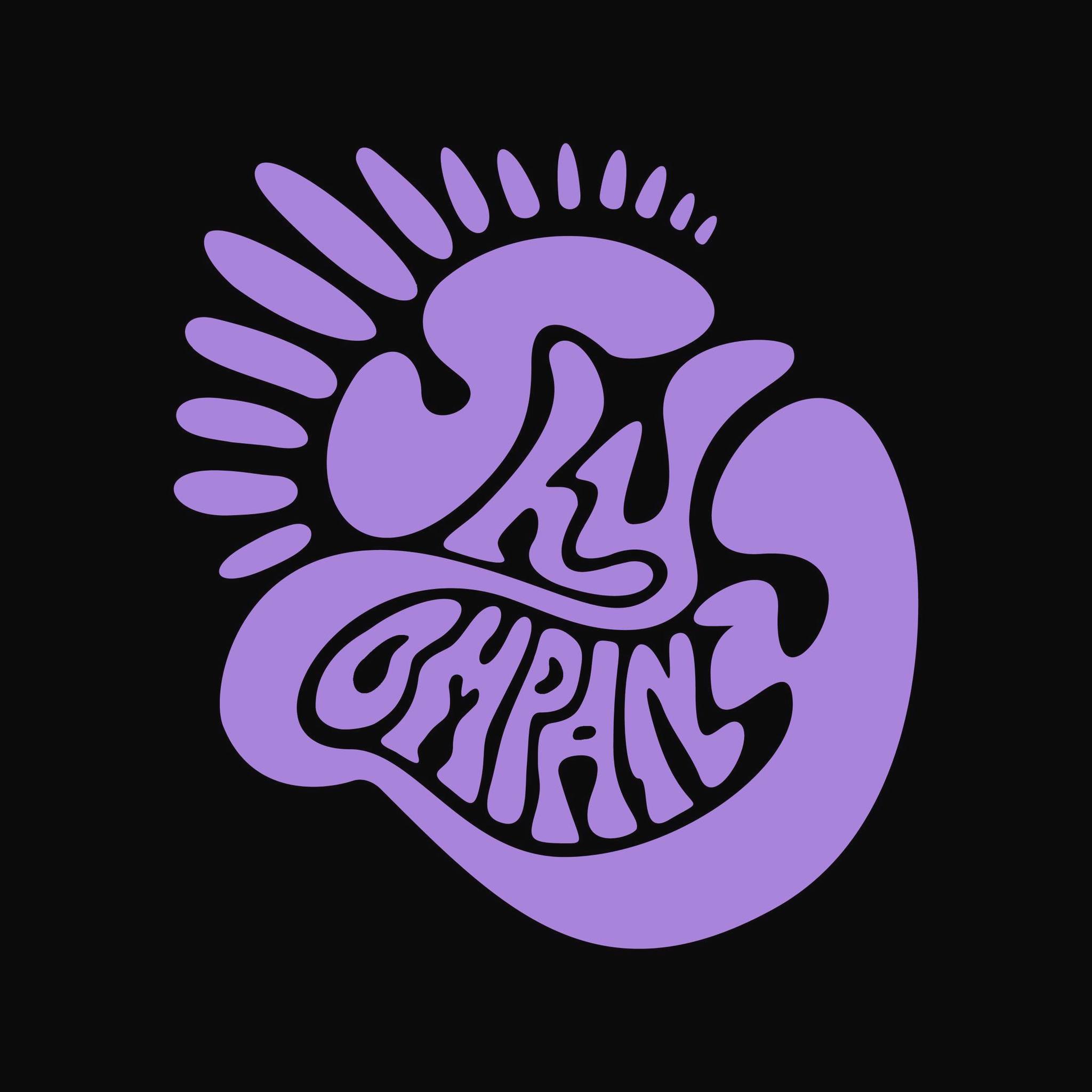 Shy Company logo